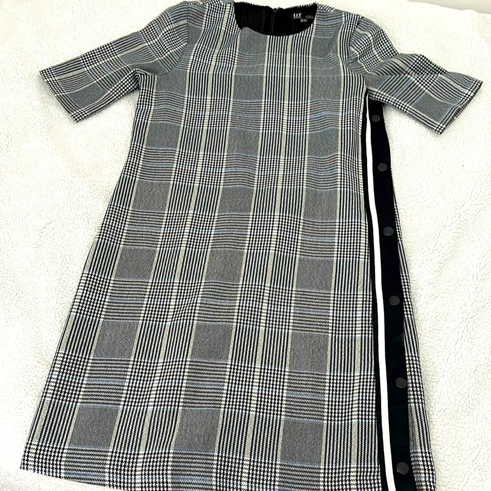 Zara TRF dress